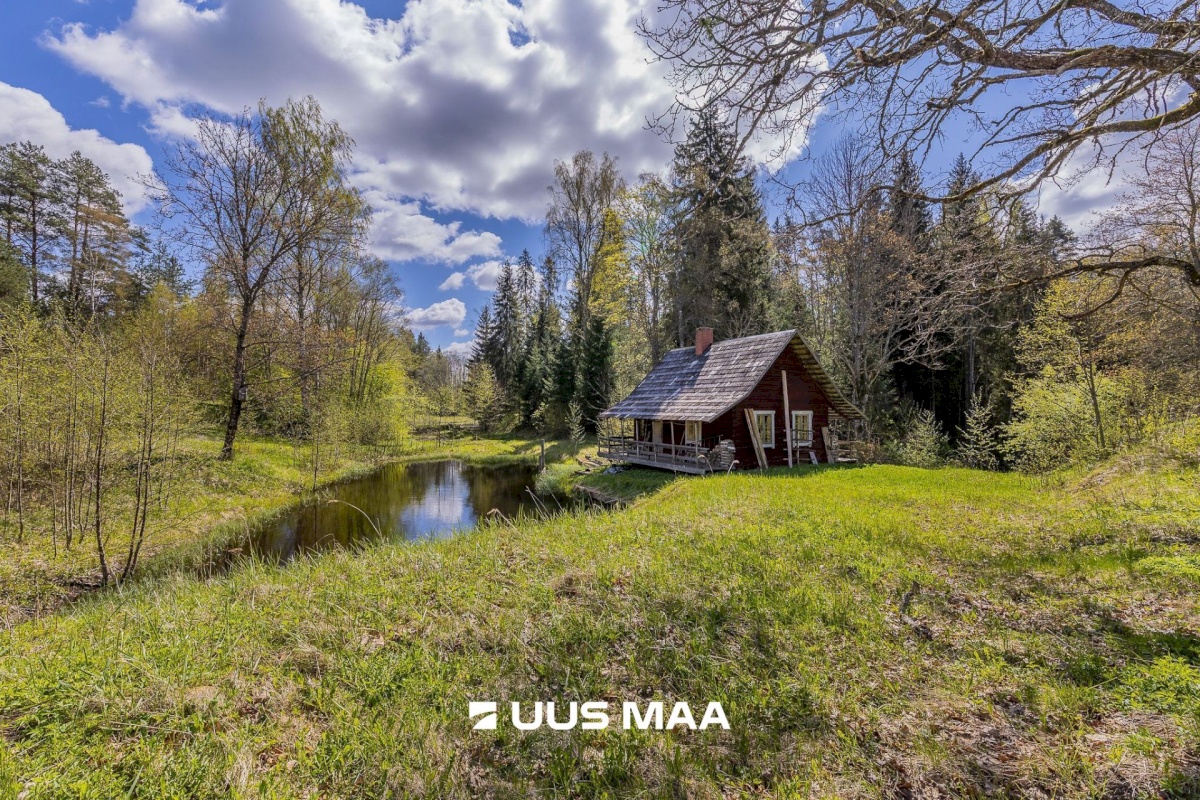 Rõuge vald, Palli küla