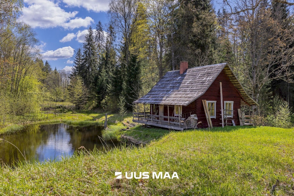 Rõuge vald, Palli küla