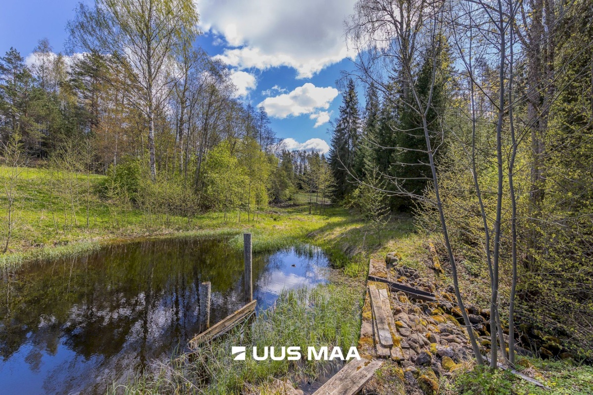 Rõuge vald, Palli küla