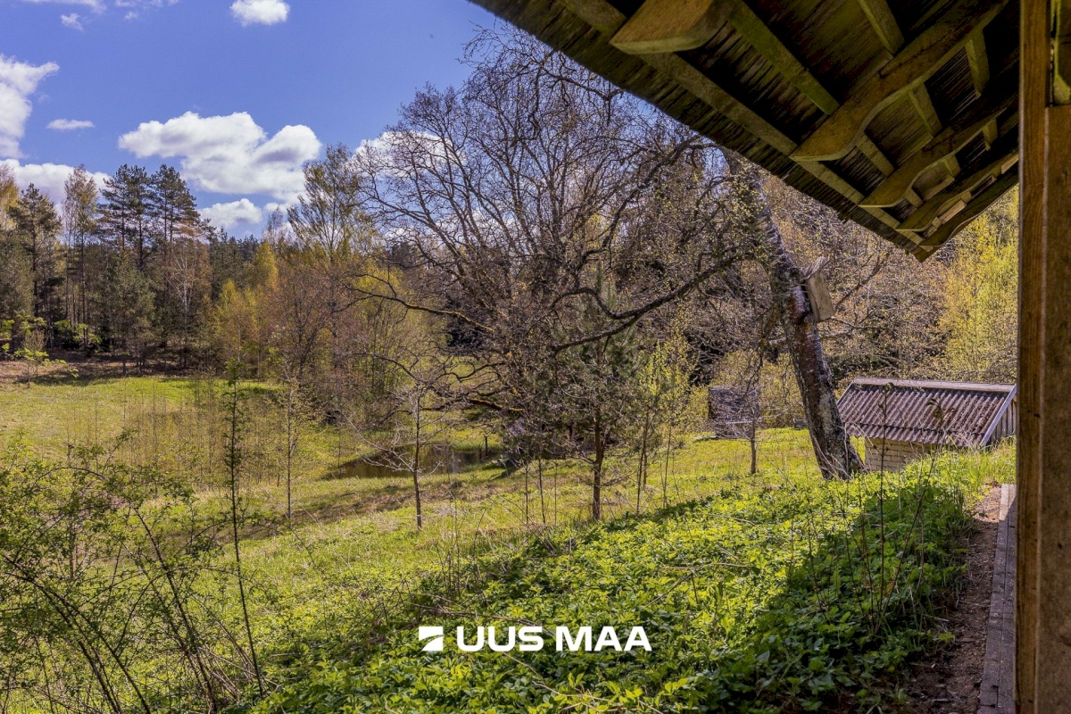 Rõuge vald, Palli küla