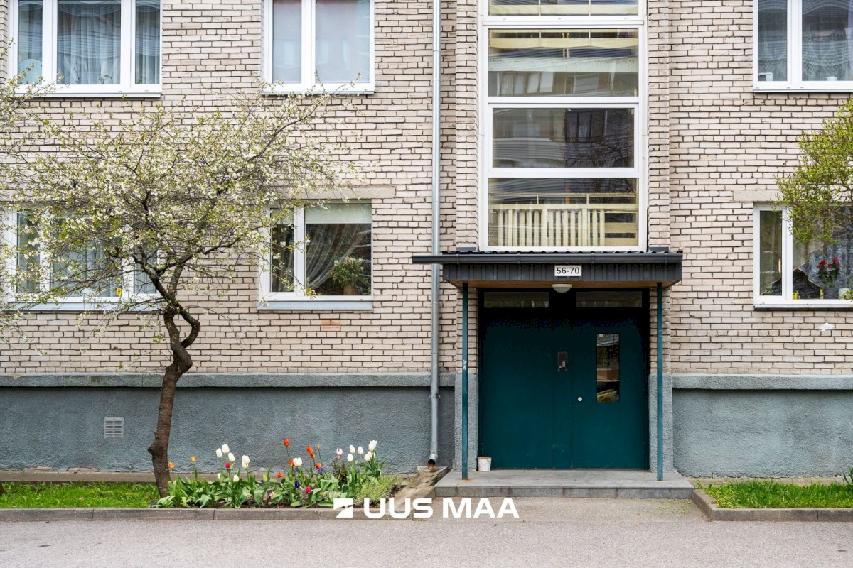 Tallinn, Põhja-Tallinna linnaosa, Pelguranna, Madala 11