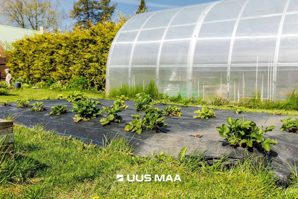 Saue vald, Koppelmaa küla, Karu tn 16