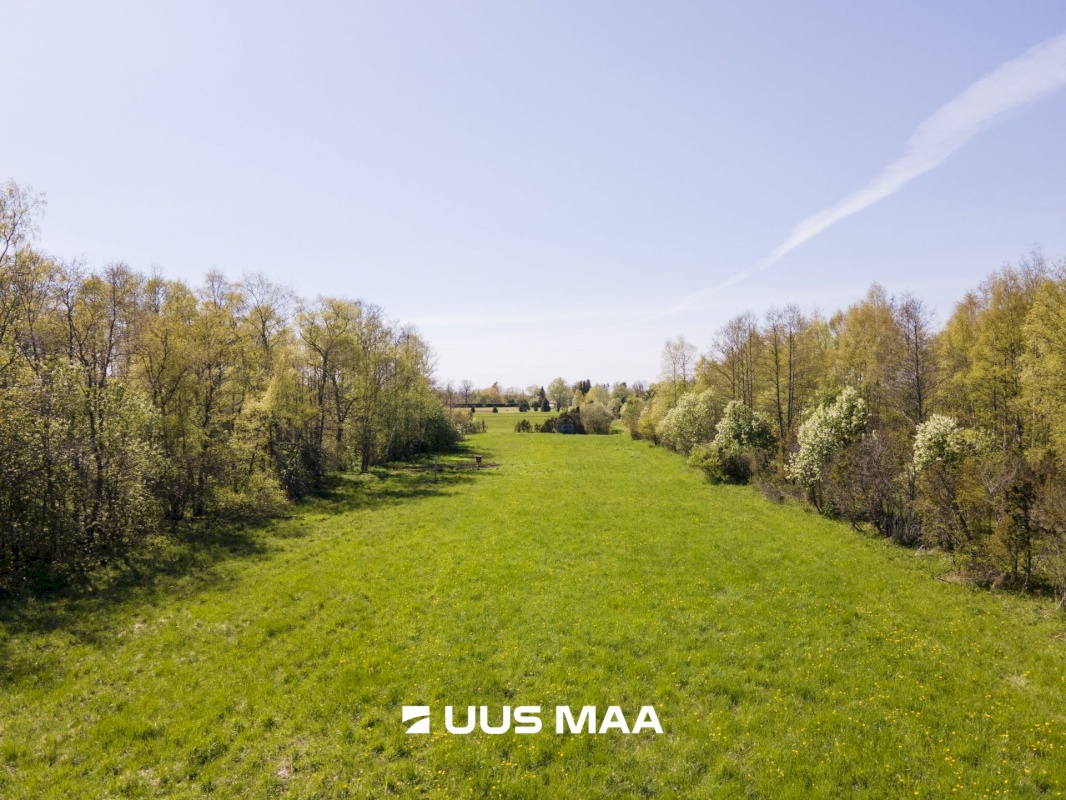 Saaremaa vald, Leisi küla, Jurna kinnistu