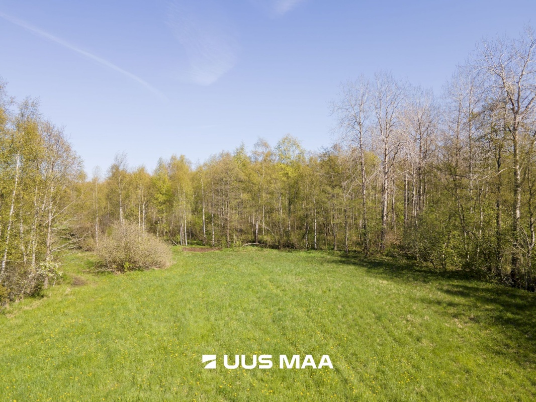 Saaremaa vald, Leisi küla, Jurna kinnistu