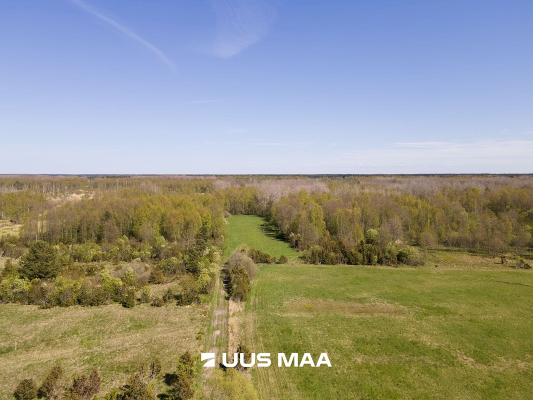 Saaremaa vald, Leisi küla, Jurna kinnistu