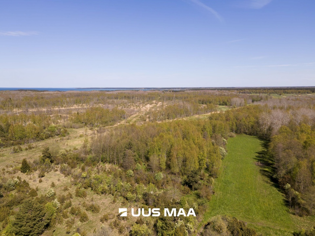 Saaremaa vald, Leisi küla, Jurna kinnistu