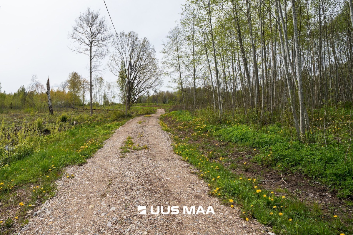 Võru vald, Ortuma küla