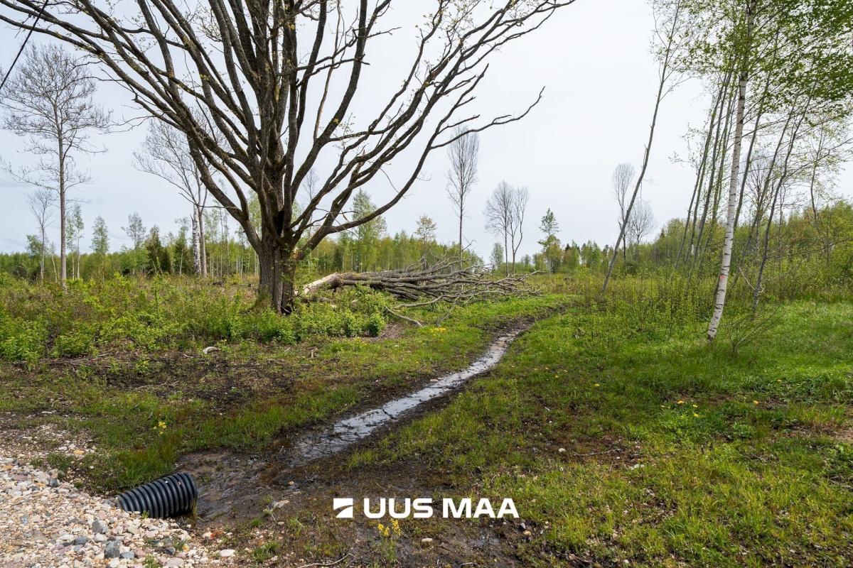 Võru vald, Ortuma küla