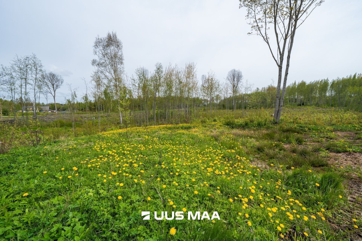 Võru vald, Ortuma küla