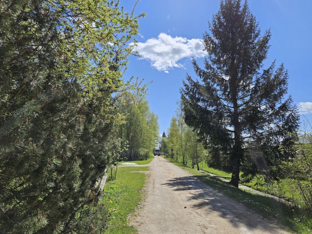 Rakvere vald, Päide küla, Niidu 201