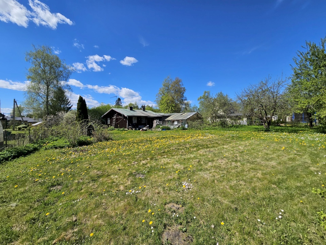 Rakvere vald, Päide küla, Niidu 201