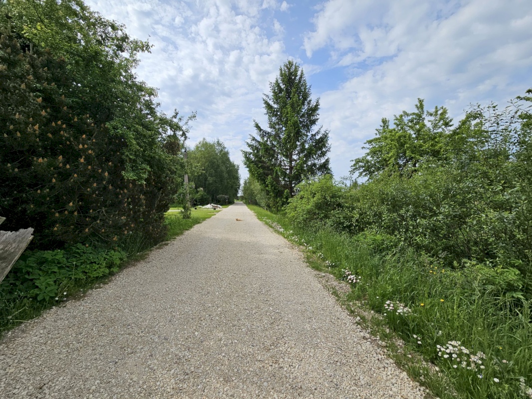 Rakvere vald, Päide küla, Niidu 201
