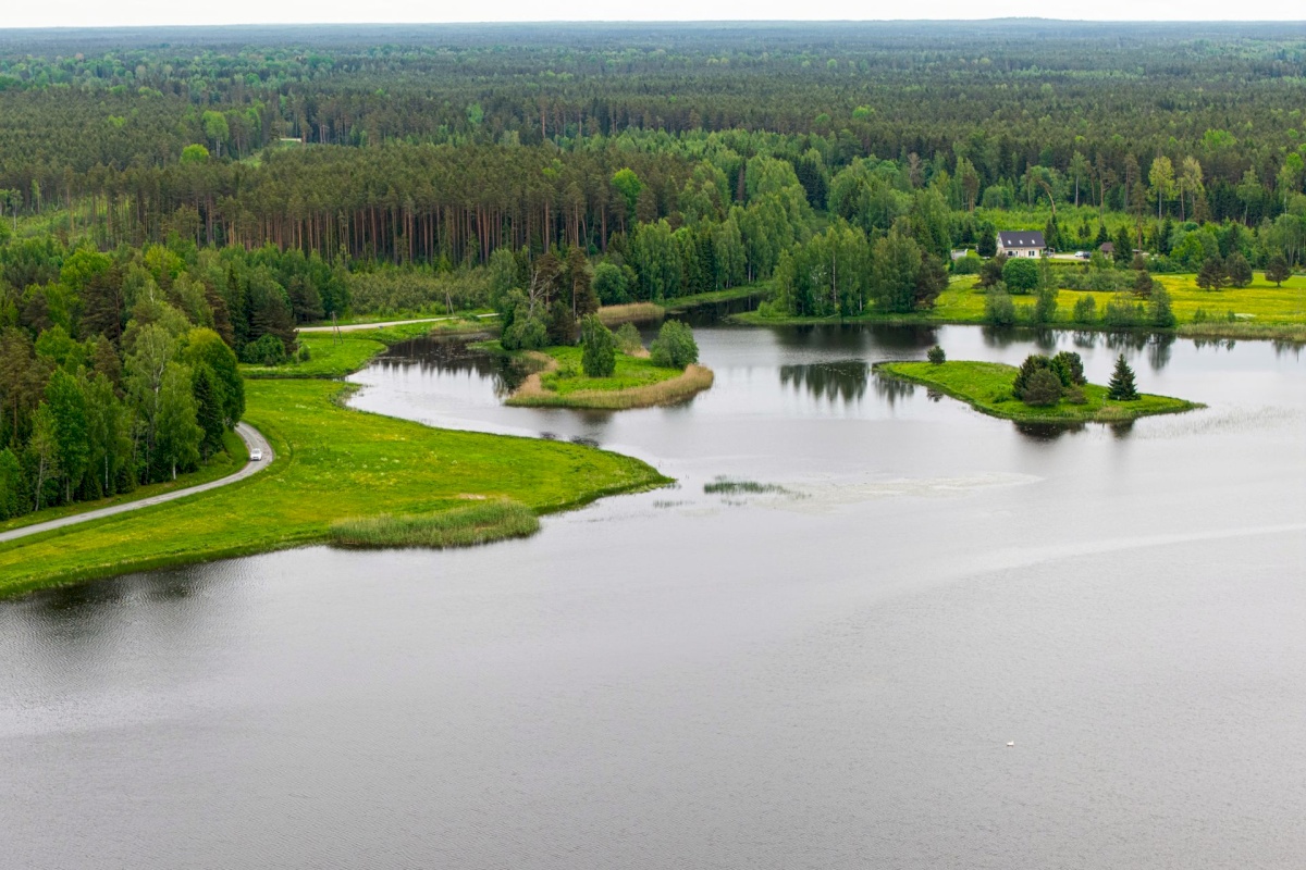 Anija vald, Vikipalu küla, Metsaveere vkt 40