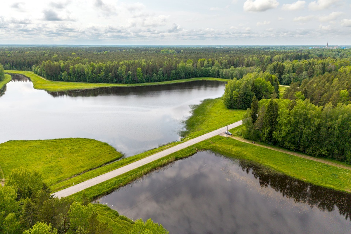 Anija vald, Vikipalu küla, Metsaveere vkt 40