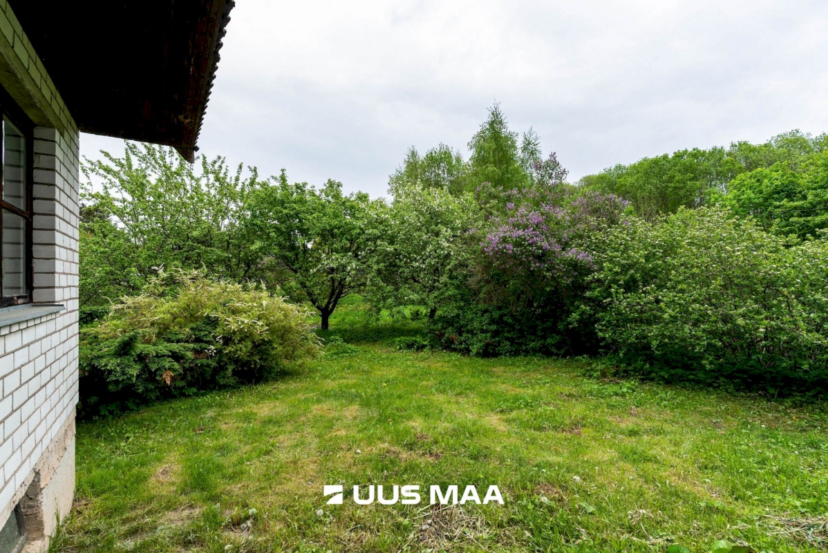 Viljandi vald, Mähma küla, Sako