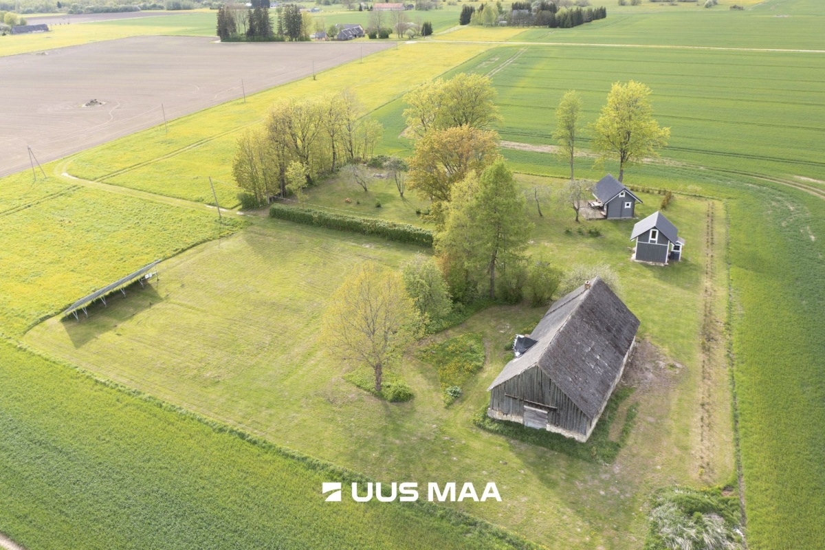 Järva vald, Prandi küla