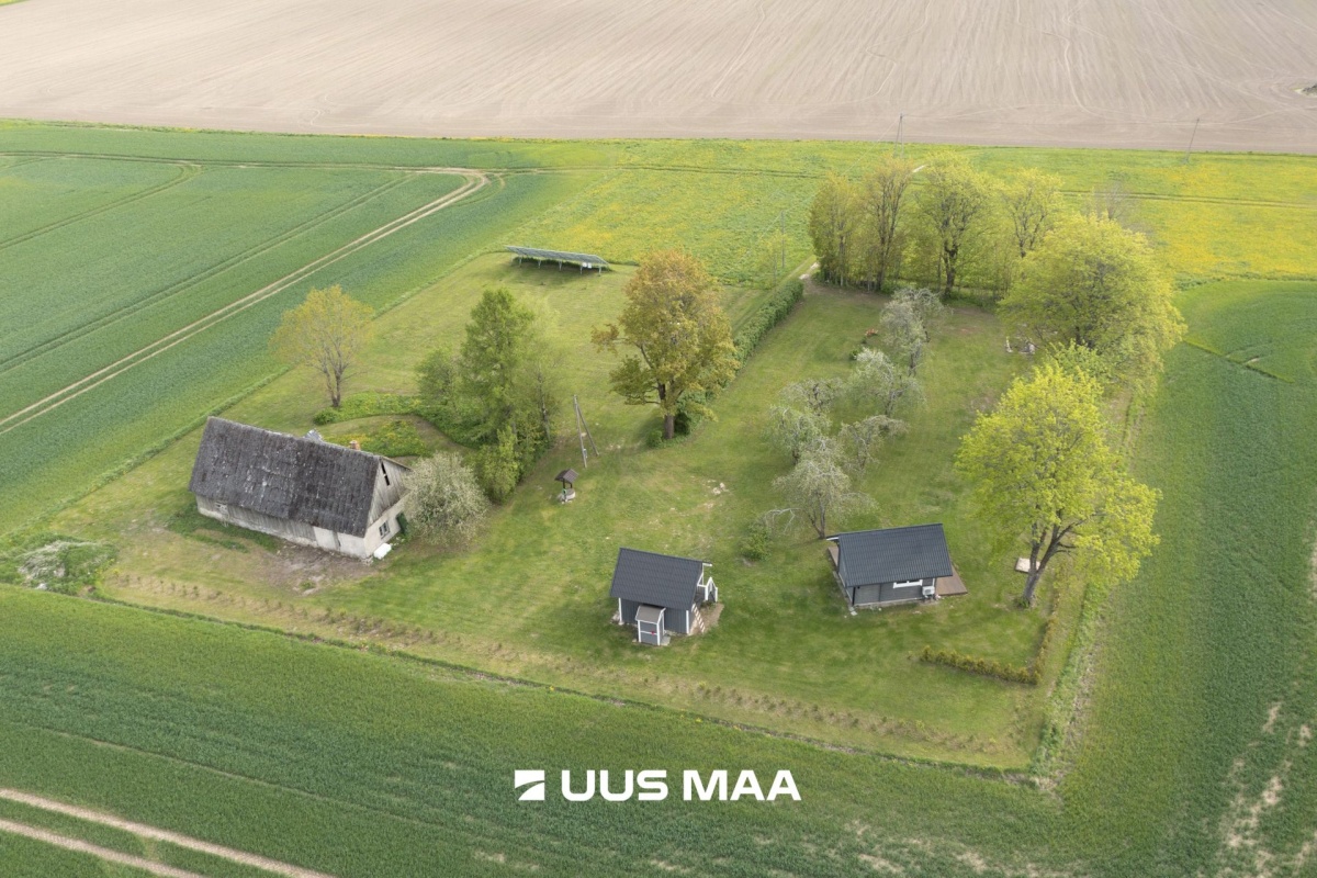 Järva vald, Prandi küla