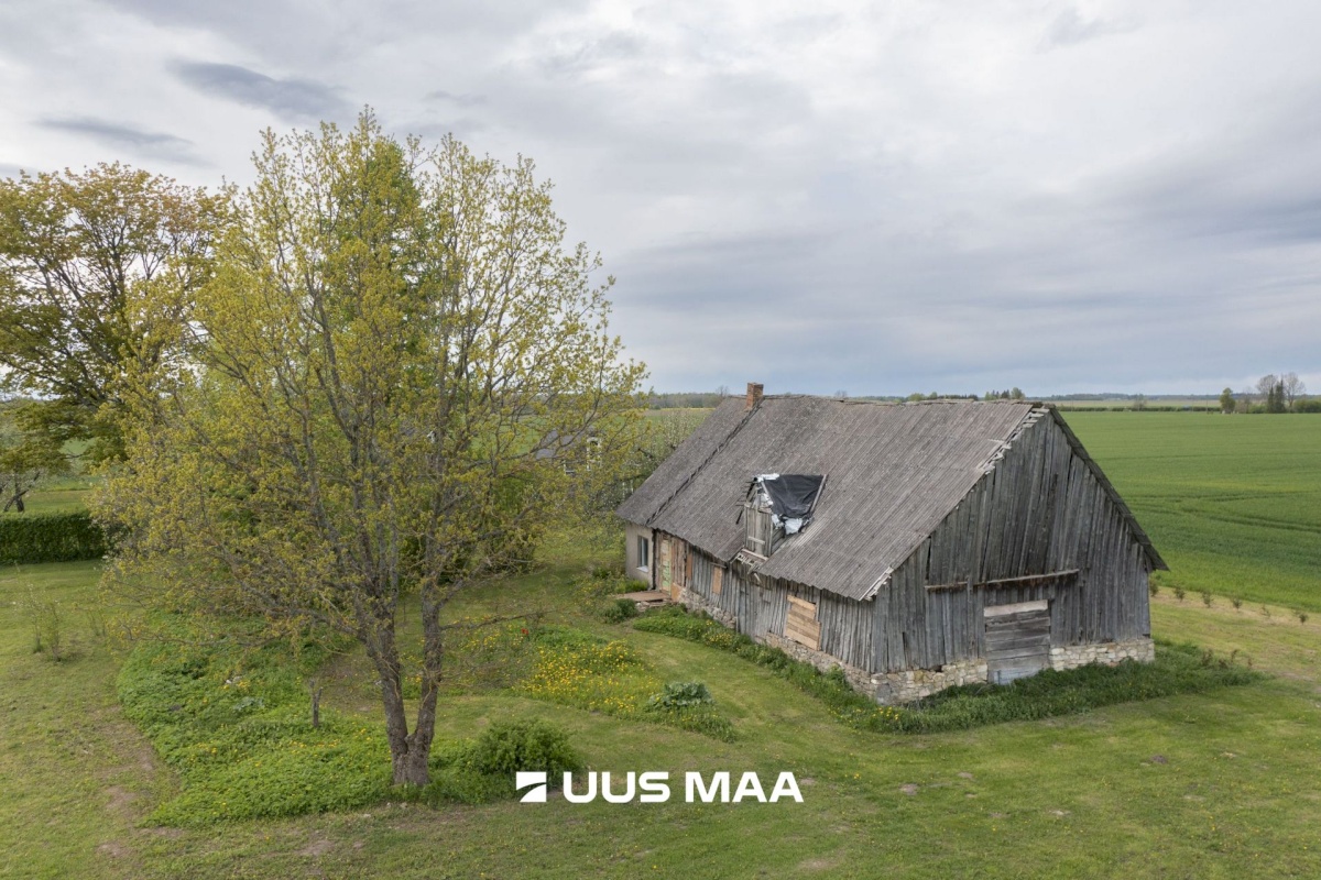 Järva vald, Prandi küla