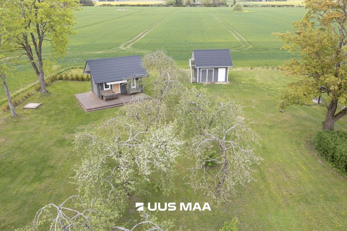 Järva vald, Prandi küla