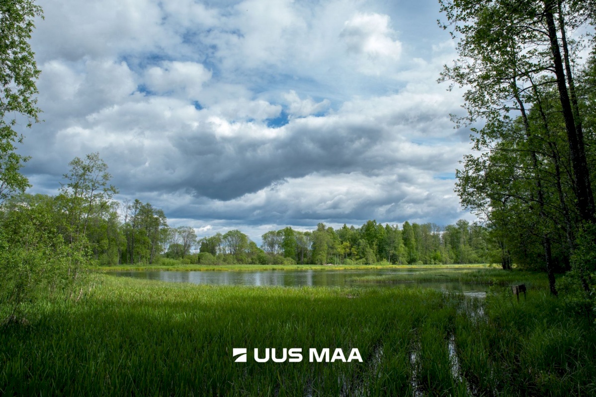 Järva vald, Prandi küla