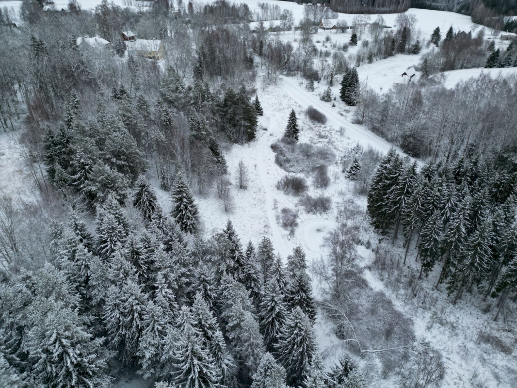 Rõuge vald, Kõrgepalu küla, Kõrgepalu mõisakompleks