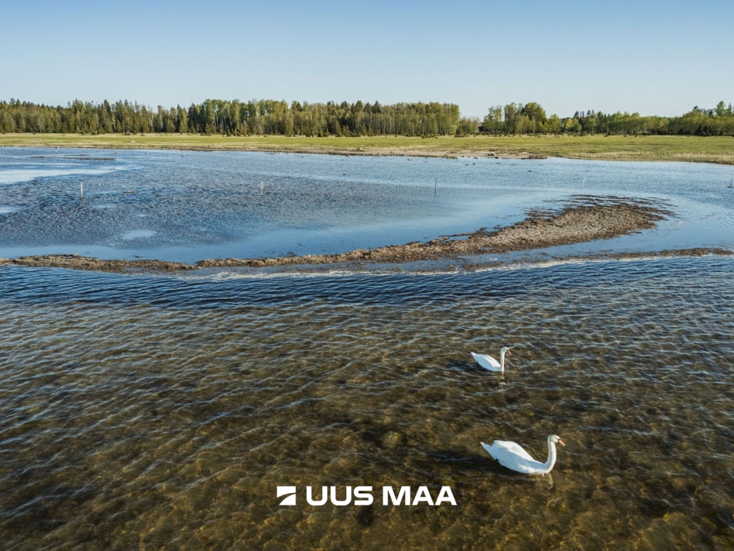 Saaremaa vald, Parasmetsa küla, Palmi ja Metsanurga