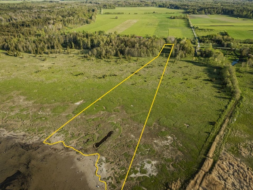 Saaremaa vald, Parasmetsa küla, Palmi ja Metsanurga