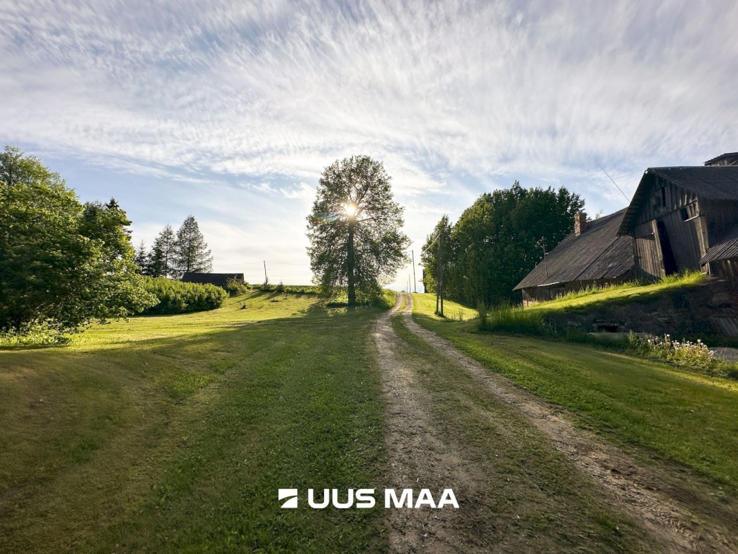 Otepää vald, Kurevere küla, Käärike-Kivi