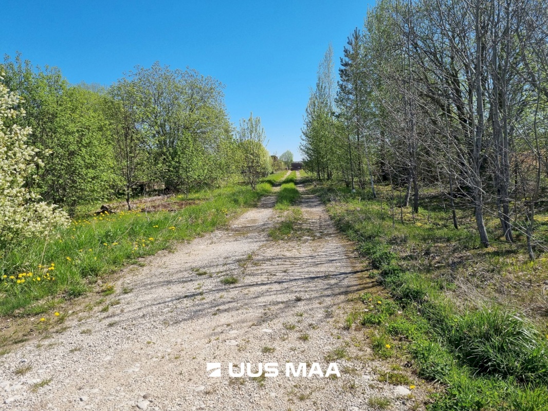 Vinni vald, Pajusti alevik, Tööstuse 15