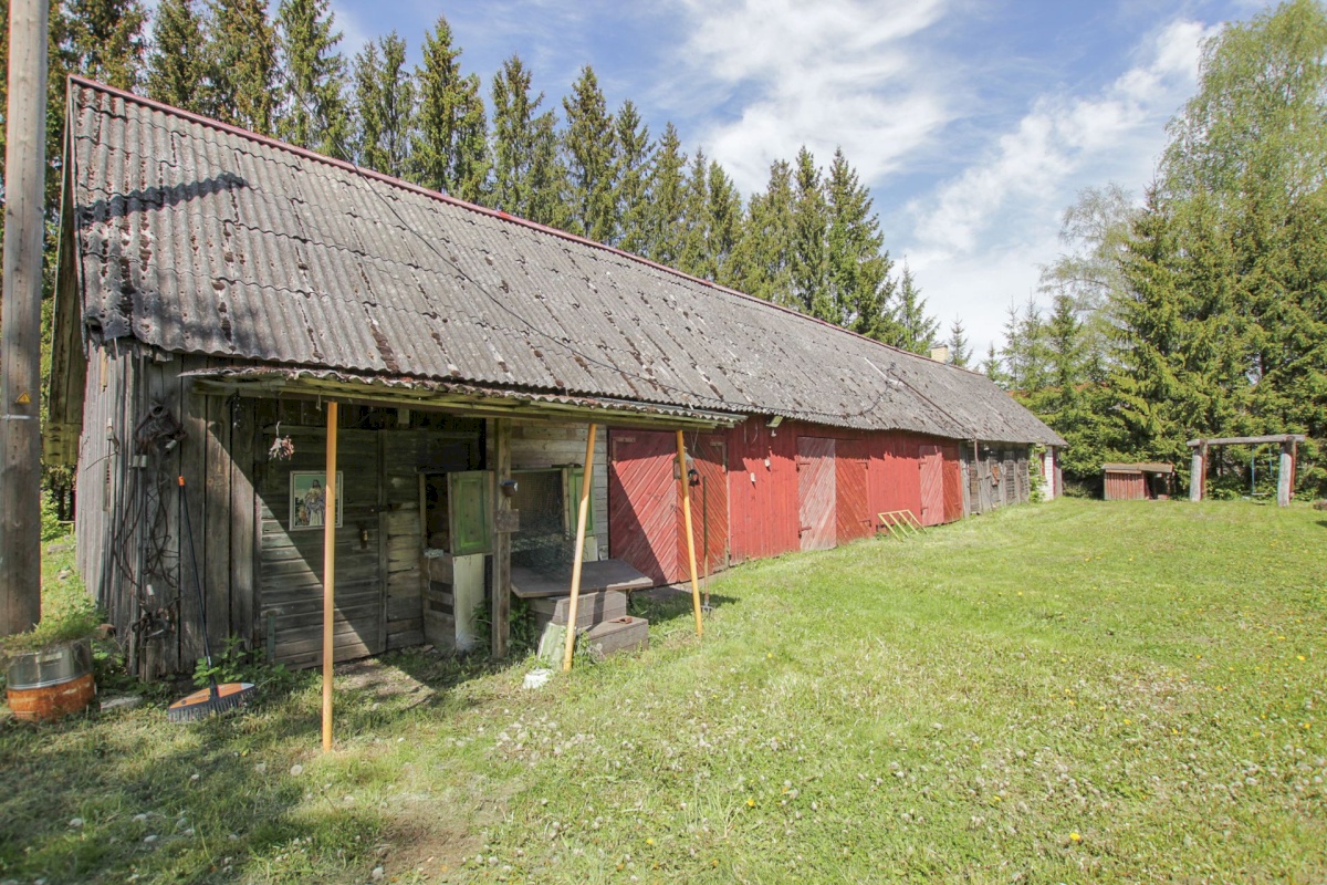 Põhja-Pärnumaa vald, Kergu küla