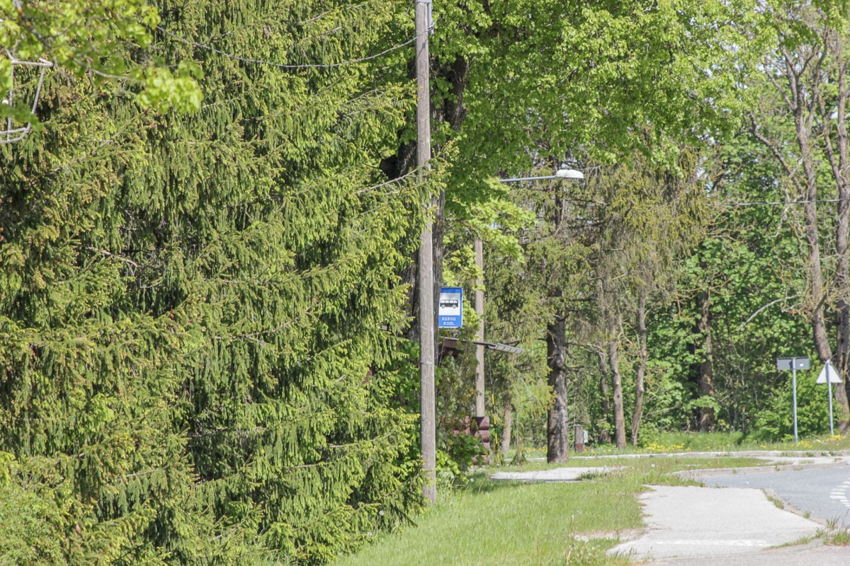 Põhja-Pärnumaa vald, Kergu küla