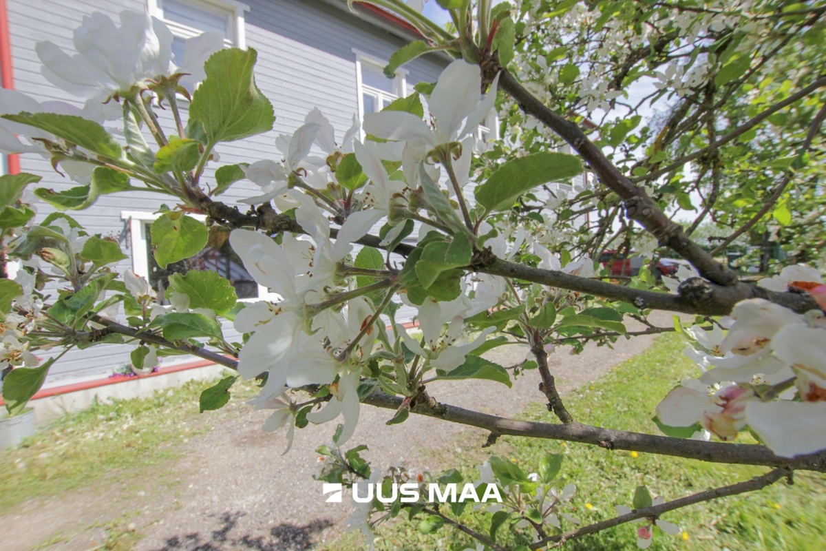 Põhja-Pärnumaa vald, Kergu küla
