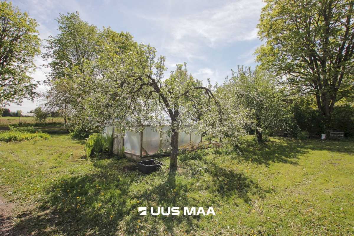 Põhja-Pärnumaa vald, Kergu küla