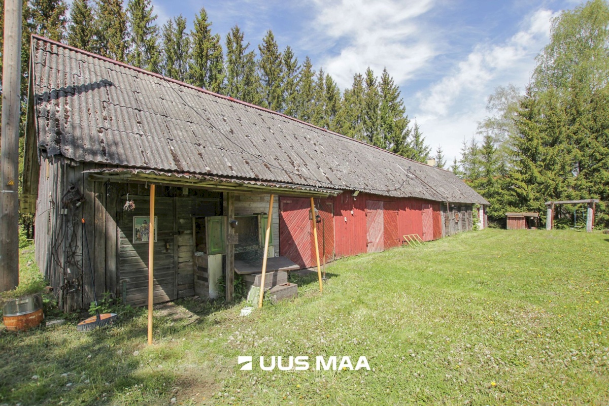 Põhja-Pärnumaa vald, Kergu küla