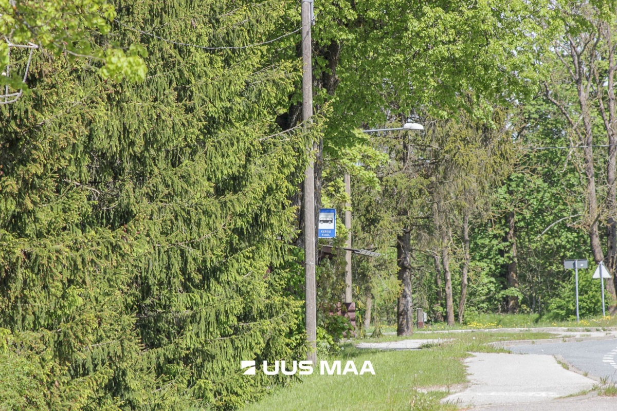 Põhja-Pärnumaa vald, Kergu küla