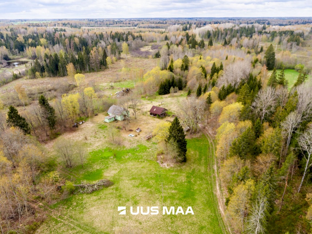 Väike-Maarja vald, Varangu küla, Kõrgemäe
