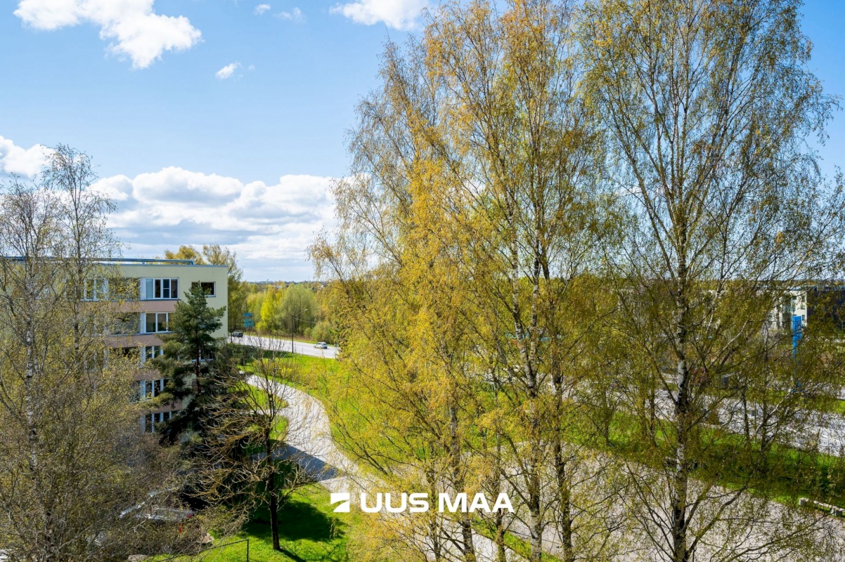 Tallinn, Haabersti linnaosa, Paldiski mnt 167