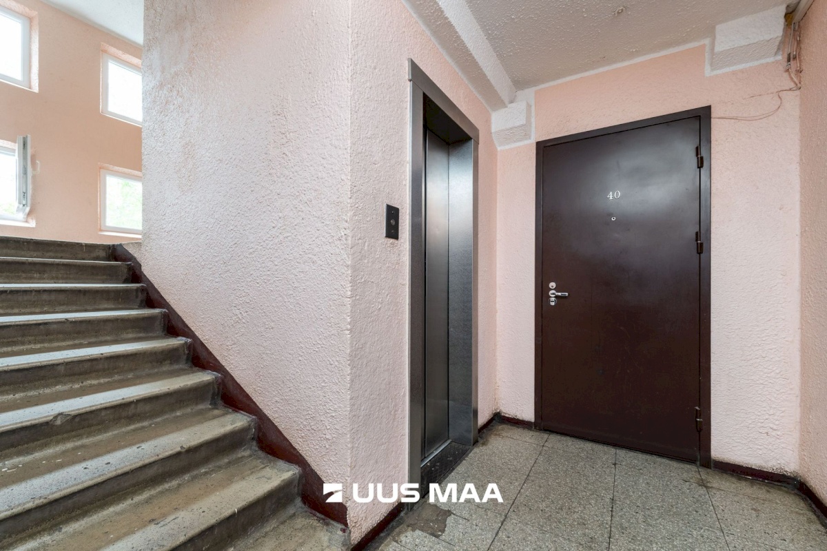 Tallinn, Lasnamäe linnaosa, Pae, Punane 19