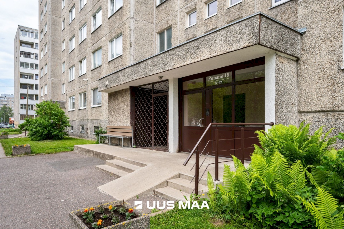 Tallinn, Lasnamäe linnaosa, Pae, Punane 19