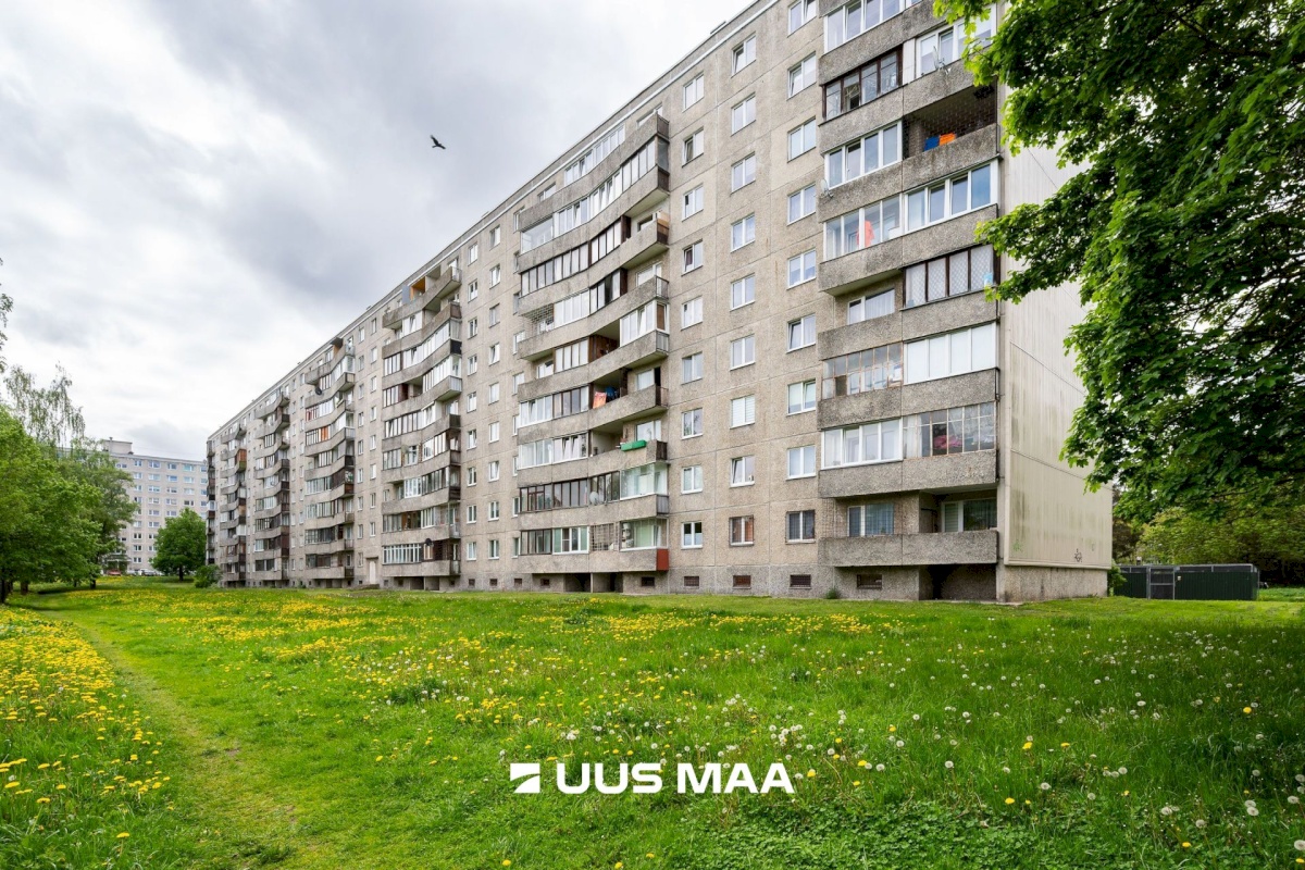 Tallinn, Lasnamäe linnaosa, Pae, Punane 19