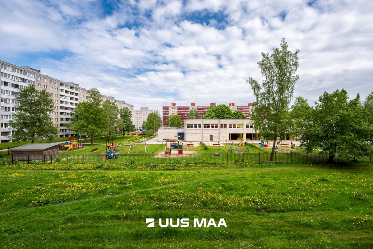 Tallinn, Lasnamäe linnaosa, Pae, Punane 19