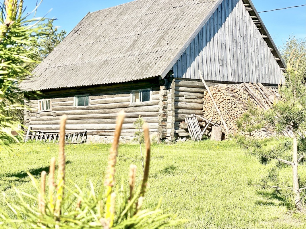 Häädemeeste vald, Massiaru küla, Uue-Tauste