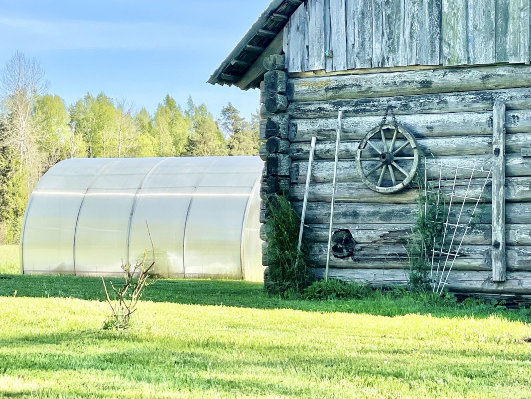 Häädemeeste vald, Massiaru küla, Uue-Tauste
