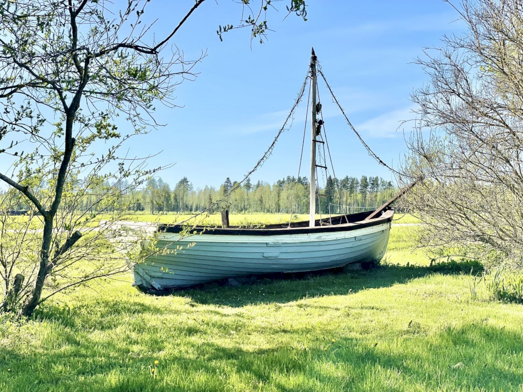 Häädemeeste vald, Massiaru küla, Uue-Tauste