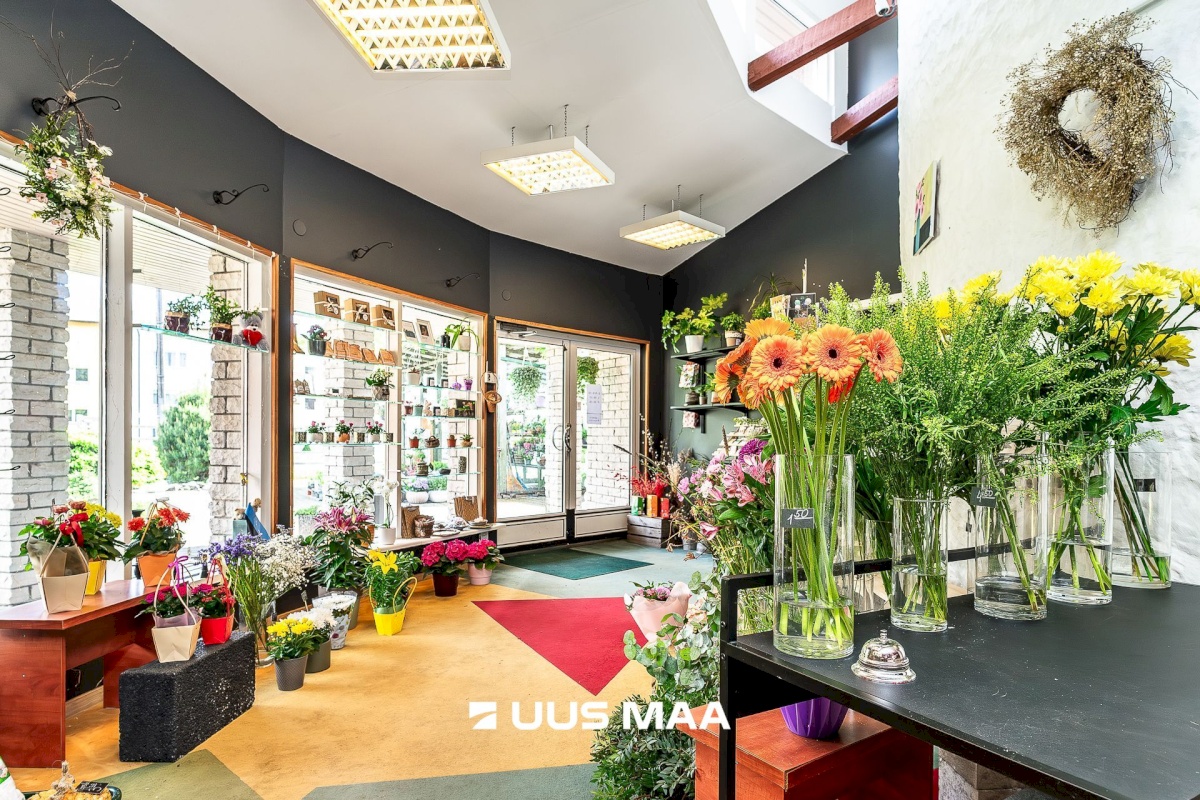 Kuusalu vald, Kuusalu alevik, Kuusalu tee 31a