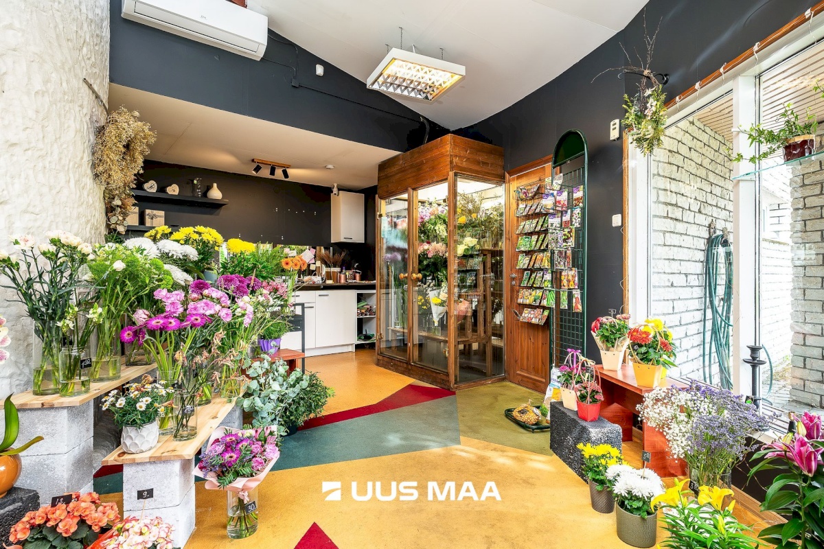 Kuusalu vald, Kuusalu alevik, Kuusalu tee 31a