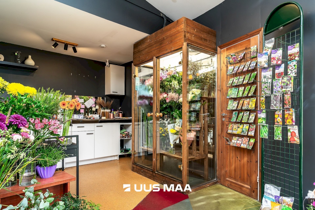 Kuusalu vald, Kuusalu alevik, Kuusalu tee 31a