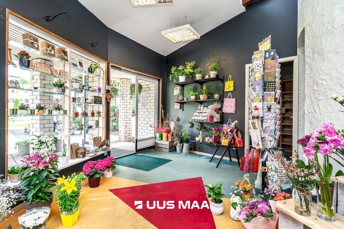 Kuusalu vald, Kuusalu alevik, Kuusalu tee 31a