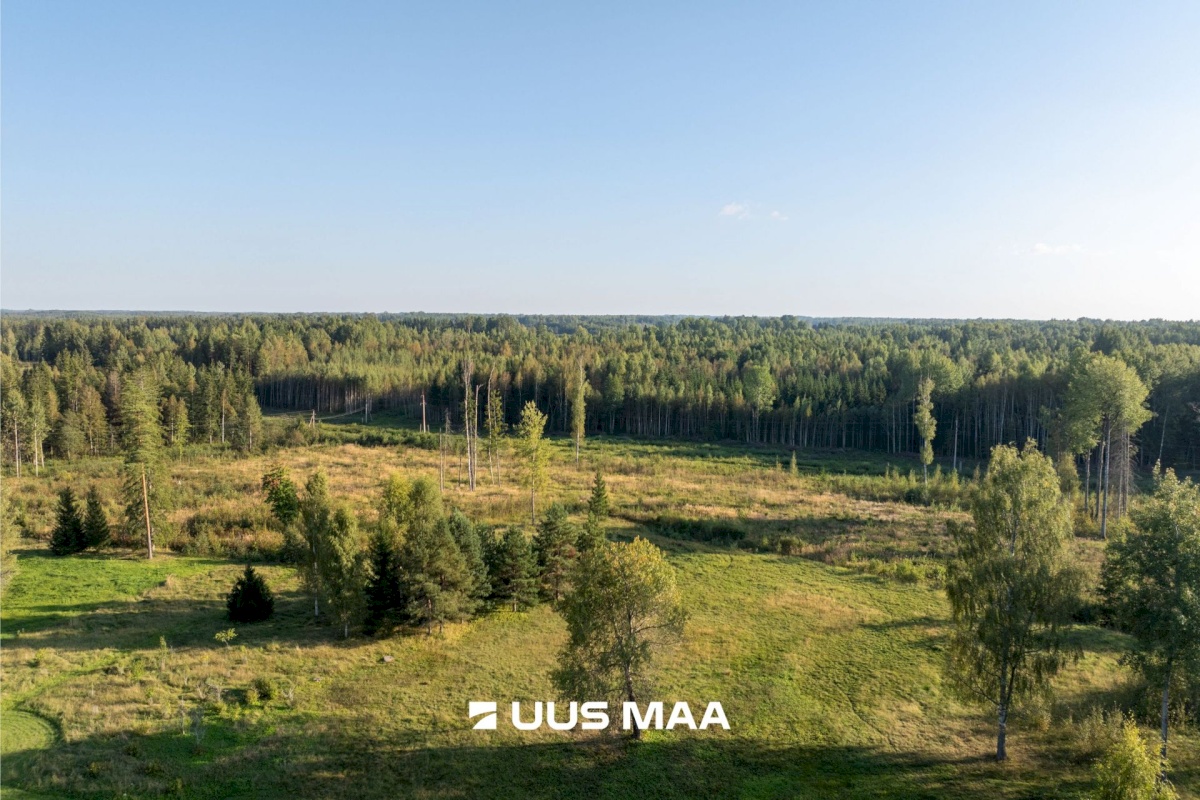 Mulgi vald, Abja-Vanamõisa küla, Kissa