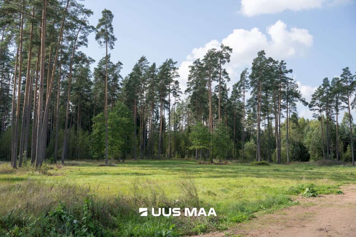 Mulgi vald, Abja-Vanamõisa küla, Kissa